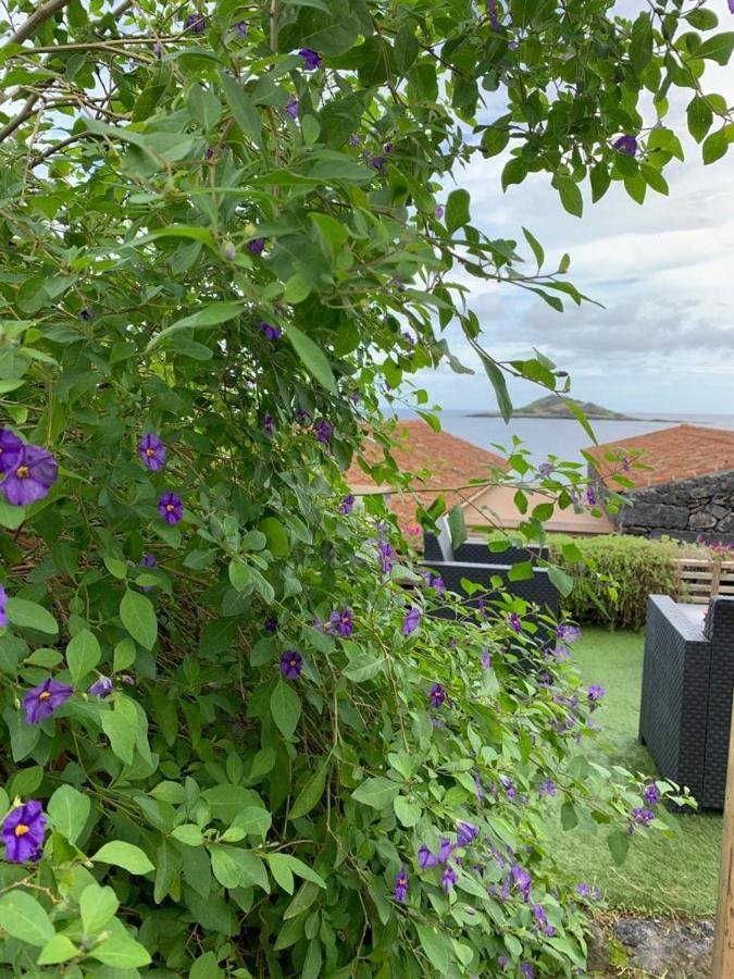 Portas Do Ilheu Villa Praia da Graciosa Eksteriør bilde